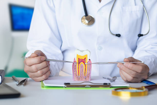 Best Emergency Dental Care for Trauma or Injury in Mayflower Village, CA